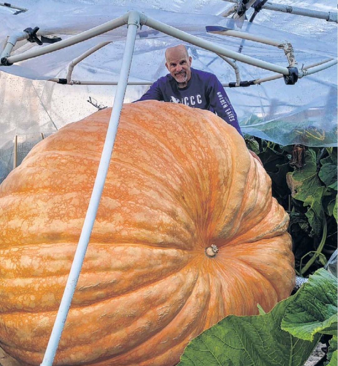 Как вырастить тыкву весом в 1,5 тонны: секреты чемпионов и гены гигантов