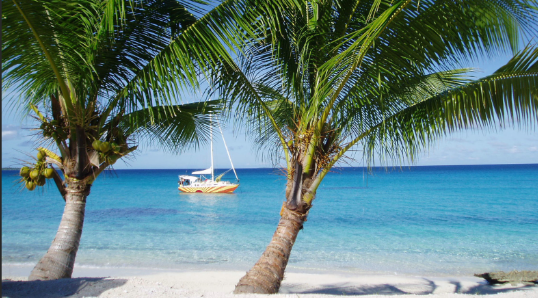 Животом и мозгом — как управляют лодками на Маршалловых островах