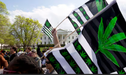 Приняты меры по смягчению ограничений на марихуану в США