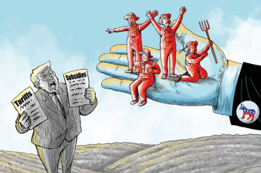 Фермерский бунт: как сельская Америка отворачивается от Трампа