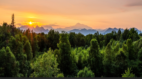 «ЕС диктует коренным американцам, как им управлять своими лесами»