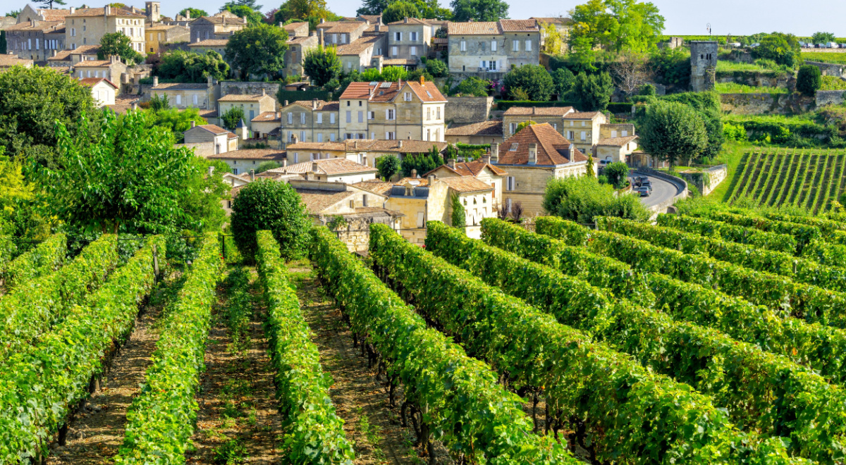 Китай «закручивает пробку»: мировой винный рынок рушится