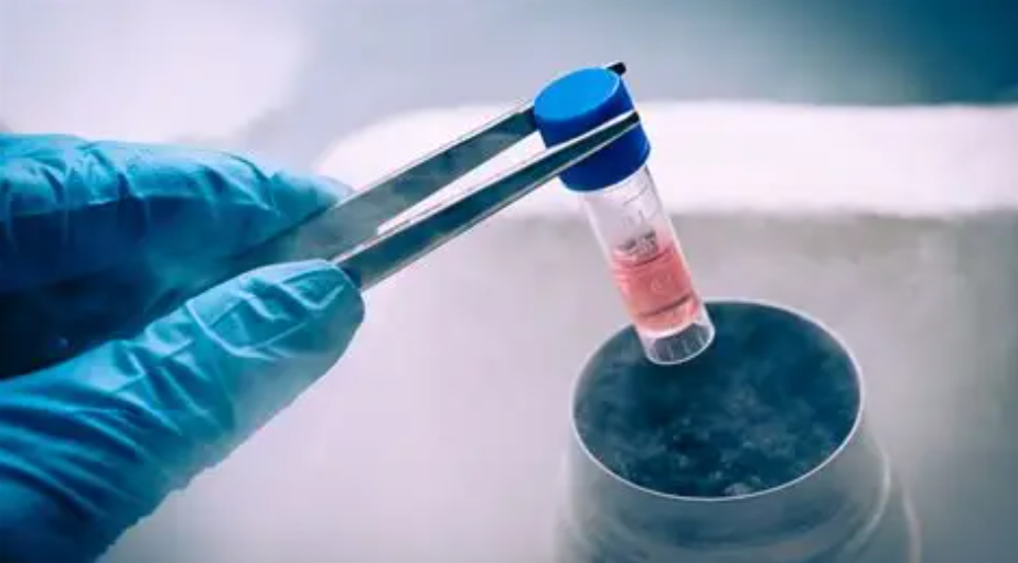 Отцовство на паузе: почему всё больше мужчин замораживают сперму